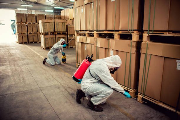 Best Rat Extermination Near Me  in Hazel Dell, WA