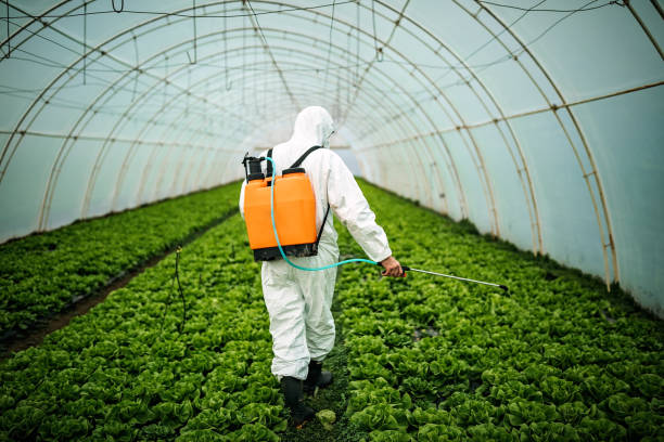 Best Emergency Pest Control  in Hazel Dell, WA