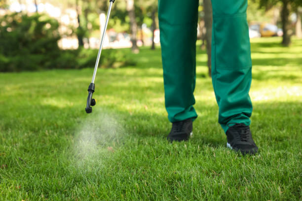 Trusted Hazel Dell, WA Pest Control Experts