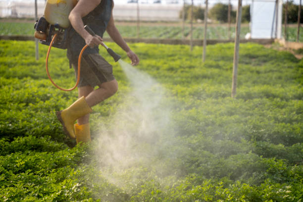 Best Wildlife Control Services  in Hazel Dell, WA