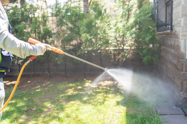 Best Best Pest Control Companies  in Hazel Dell, WA