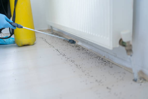 Best Exterminator Services  in Hazel Dell, WA