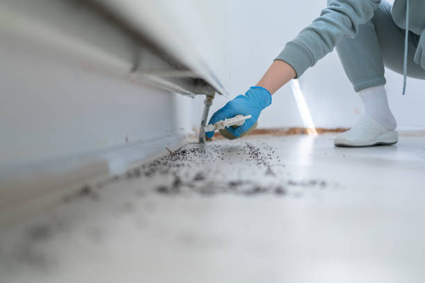 Pest Prevention Services in Hazel Dell, WA