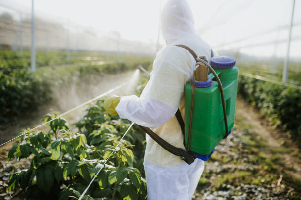 Best Mosquito Control Services  in Hazel Dell, WA